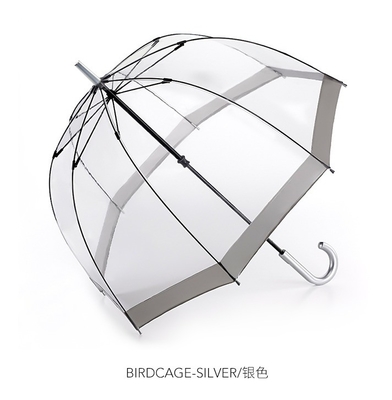 Modello di cupola elegante Chiaro ombrello da pioggia in PVC di plastica per adulti Apollo Design minimalista
