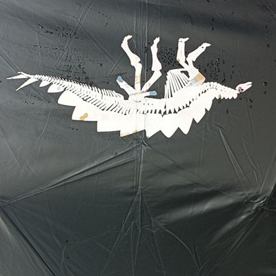 Ombrello pieghevole stampato su misura con caratteristica magica di cambio colore e telaio in acciaio