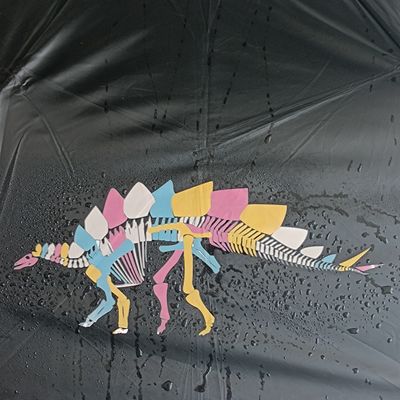 Ombrello pieghevole stampato su misura con caratteristica magica di cambio colore e telaio in acciaio